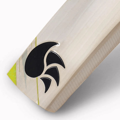 DSC Condor Winger English Willow Cricket Bat -SH - InstaSport