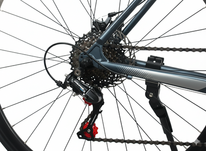 Cosmic_700_RX_Grey_Bicycle_Back_InstaSport