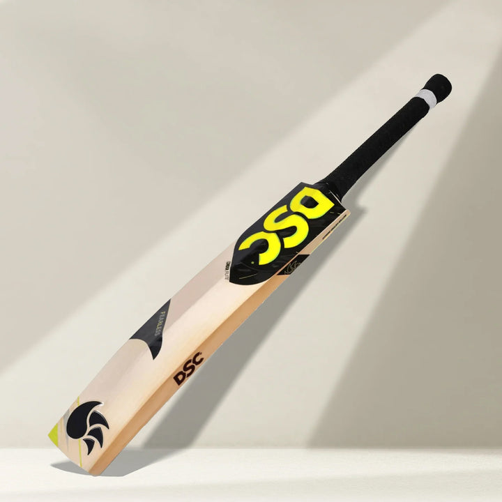 DSC Condor Flite English Willow Cricket Bat