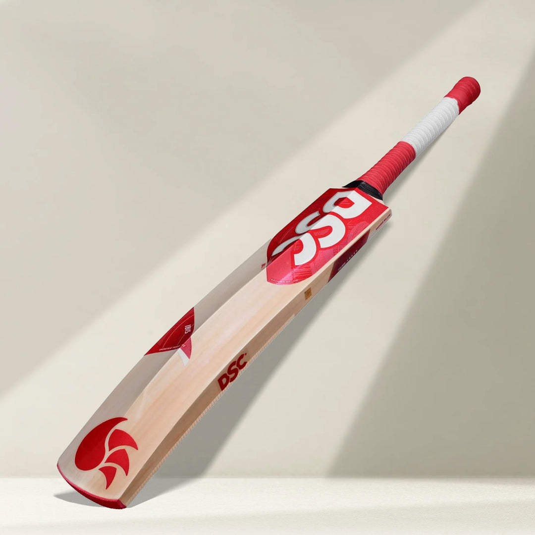 DSC IBIS 22 Kashmir Willow Cricket Bat