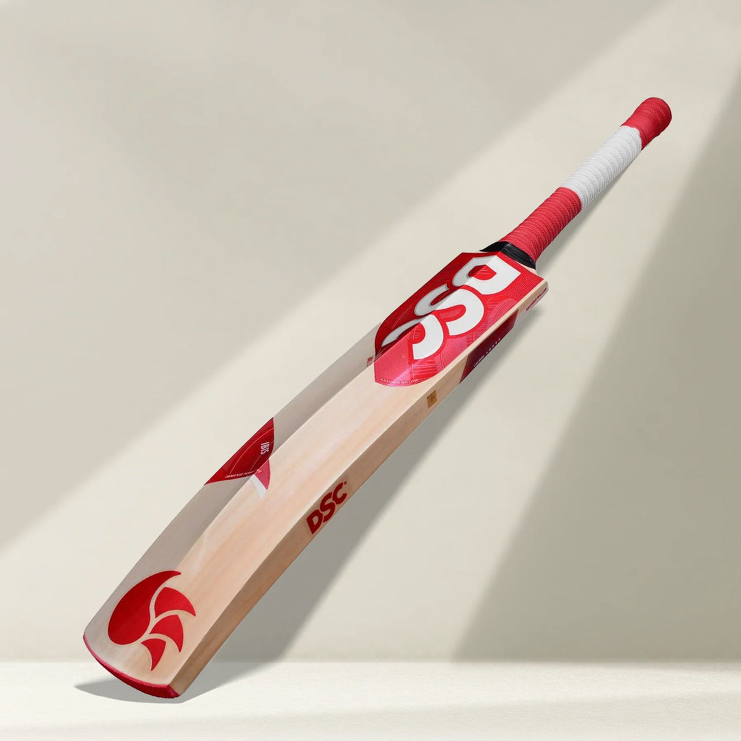 DSC IBIS 33 Kashmir Willow Cricket Bat