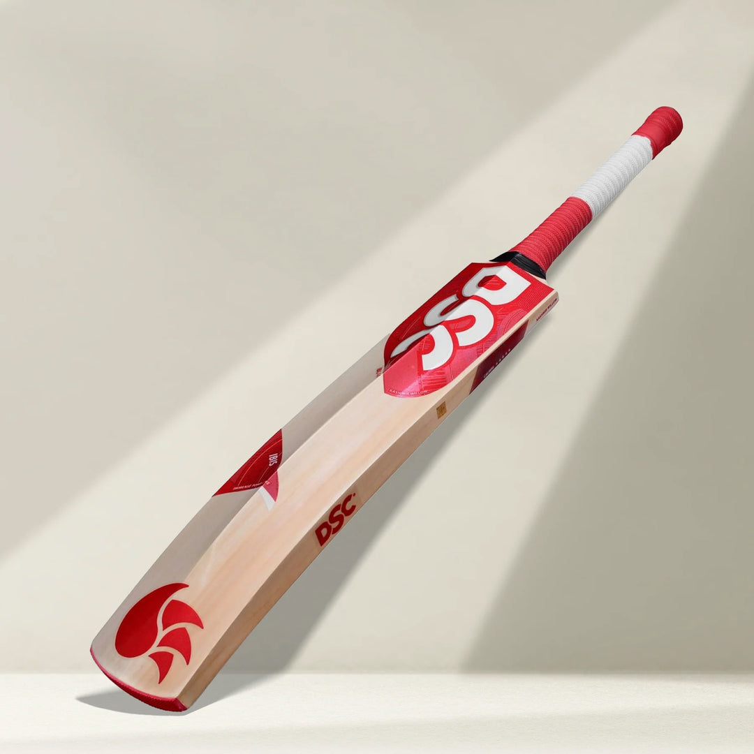 DSC IBIS 44 Kashmir Willow Cricket Bat