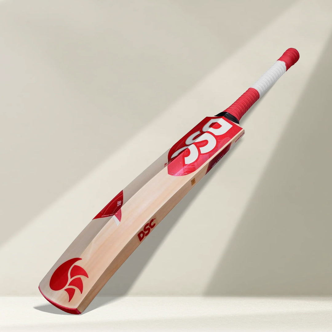 DSC IBIS 55 Kashmir Willow Cricket Bat