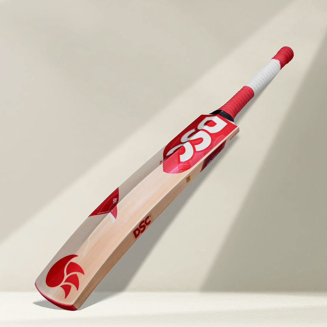 DSC IBIS 66 Kashmir Willow Cricket Bat