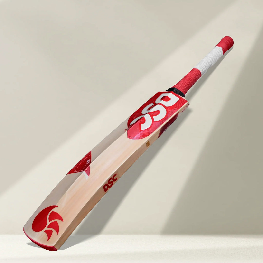 DSC IBIS 77 Kashmir Willow Cricket Bat