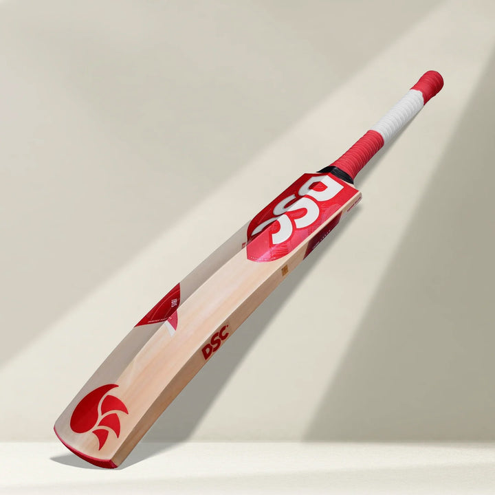 DSC IBIS 88 Kashmir Willow Cricket Bat