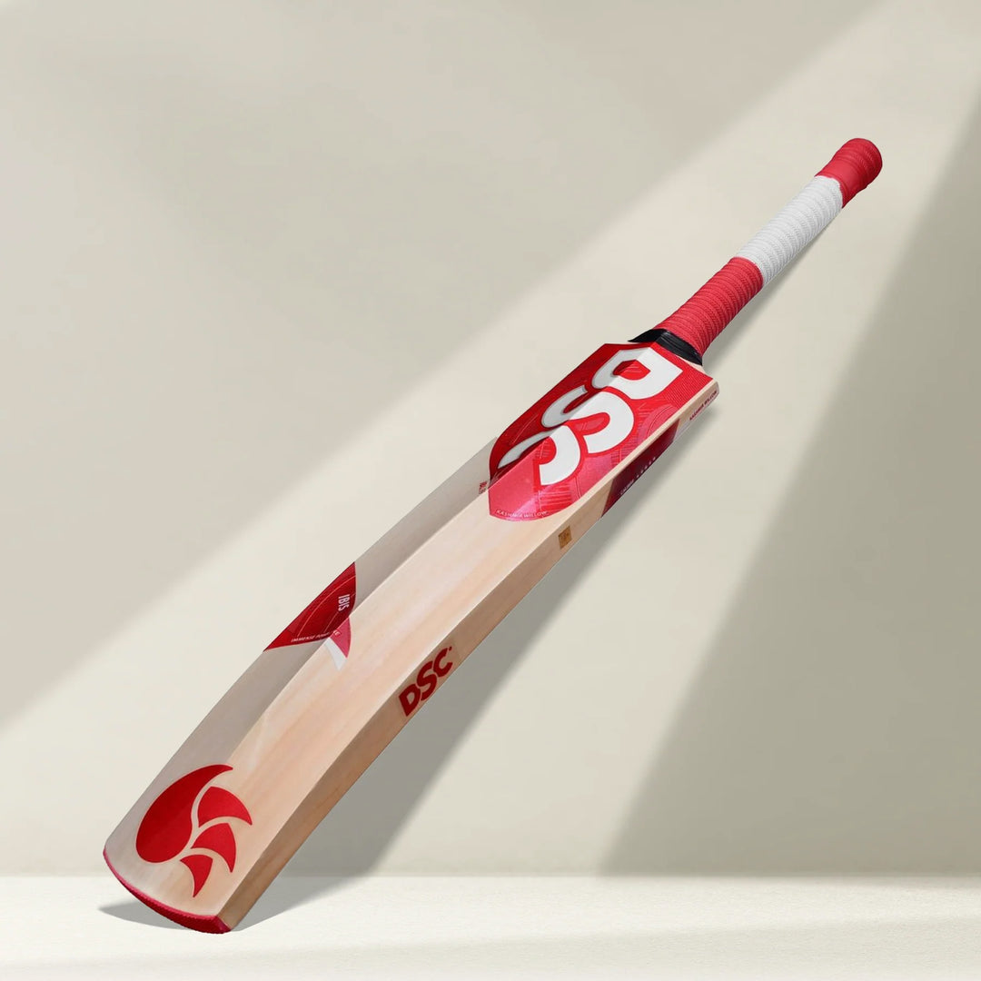 DSC IBIS 99 Kashmir Willow Cricket Bat