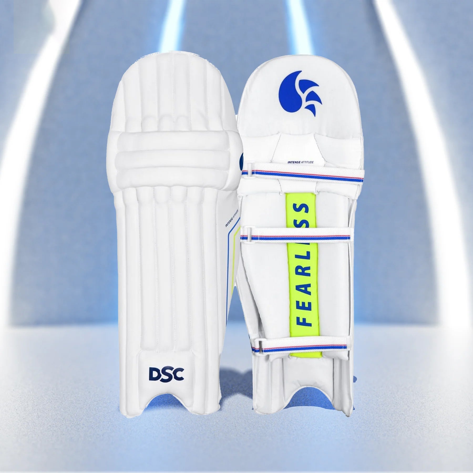 DSC Intense Attitude Batting Leg Guard