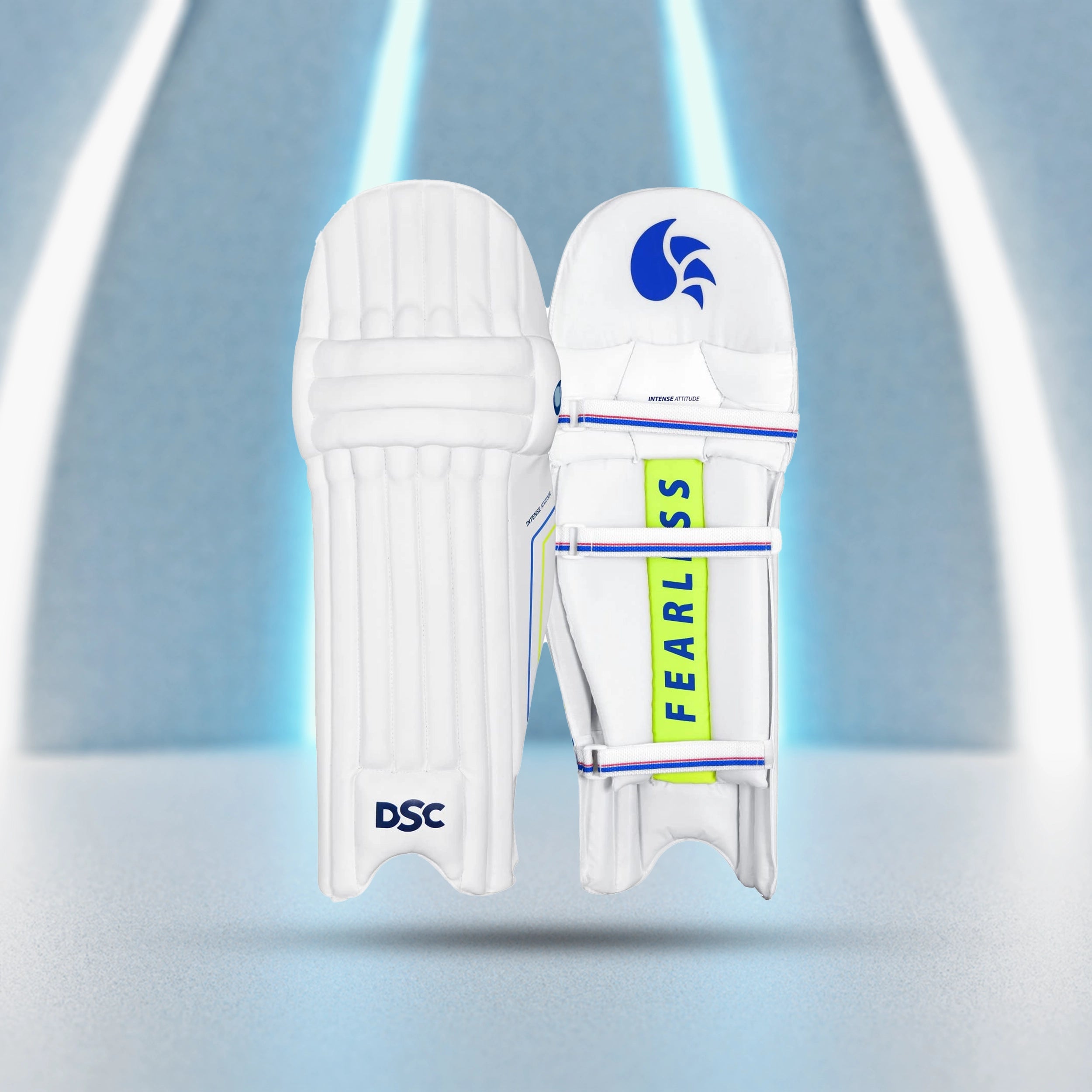 DSC_Intense_Attitud_BattingLegguard_Instasport