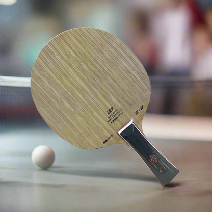 Friendship_729_Z-2_Table_Tennis_Ply_Tilt_Instasport