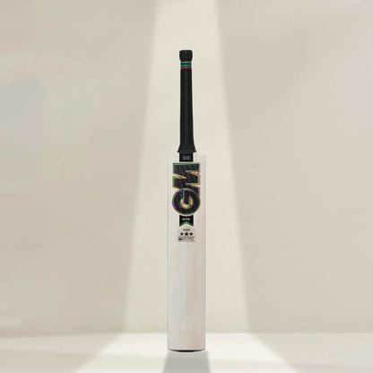 GM Hypa 404 English Willow Cricket Bat