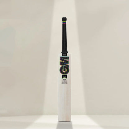 GM Hypa 909 English Willow Cricket Bat