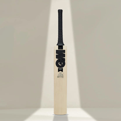 GM Noir 404 English Willow Cricket Bat