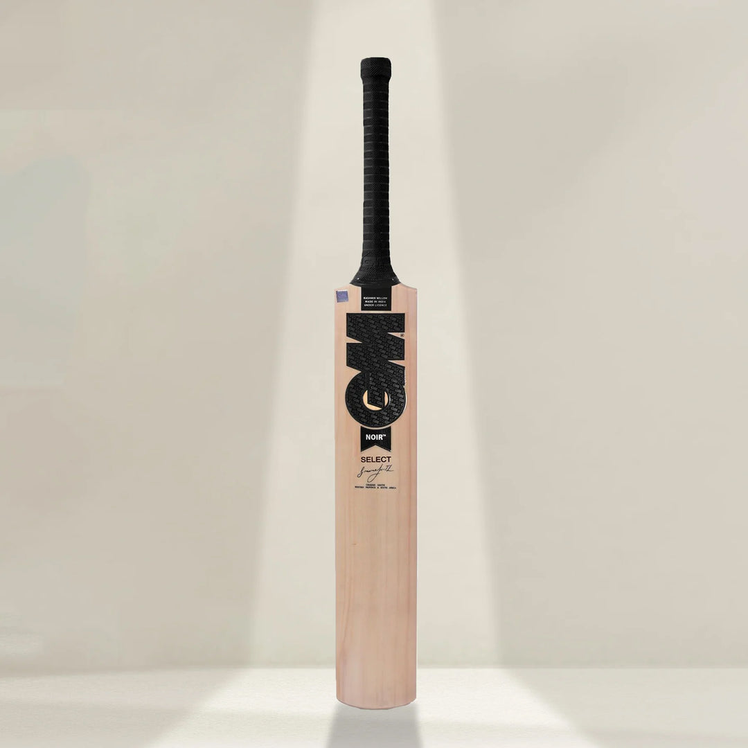 GM Noir Select Kashmir Willow Cricket Bat