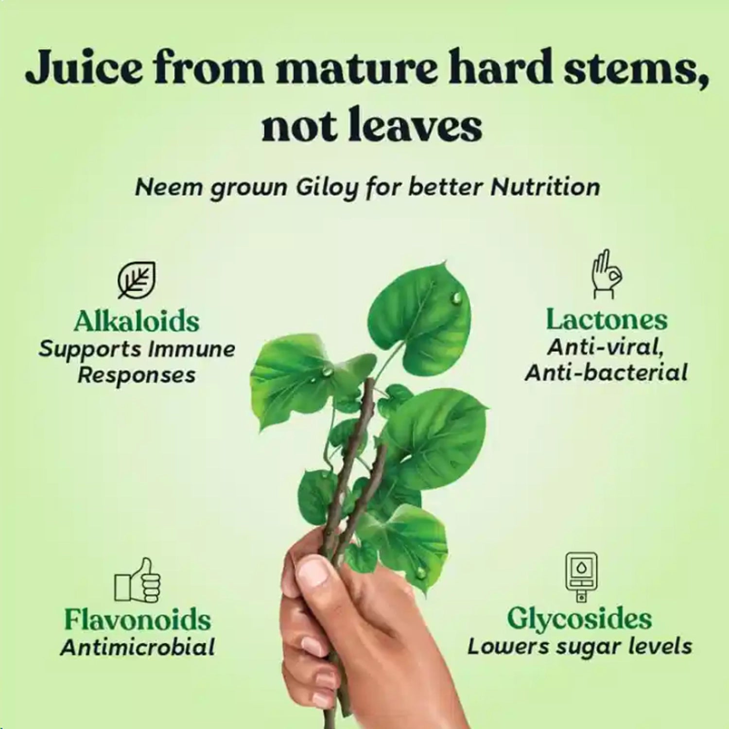 Kapiva_Giloy_Juice_Leaves_Instasport