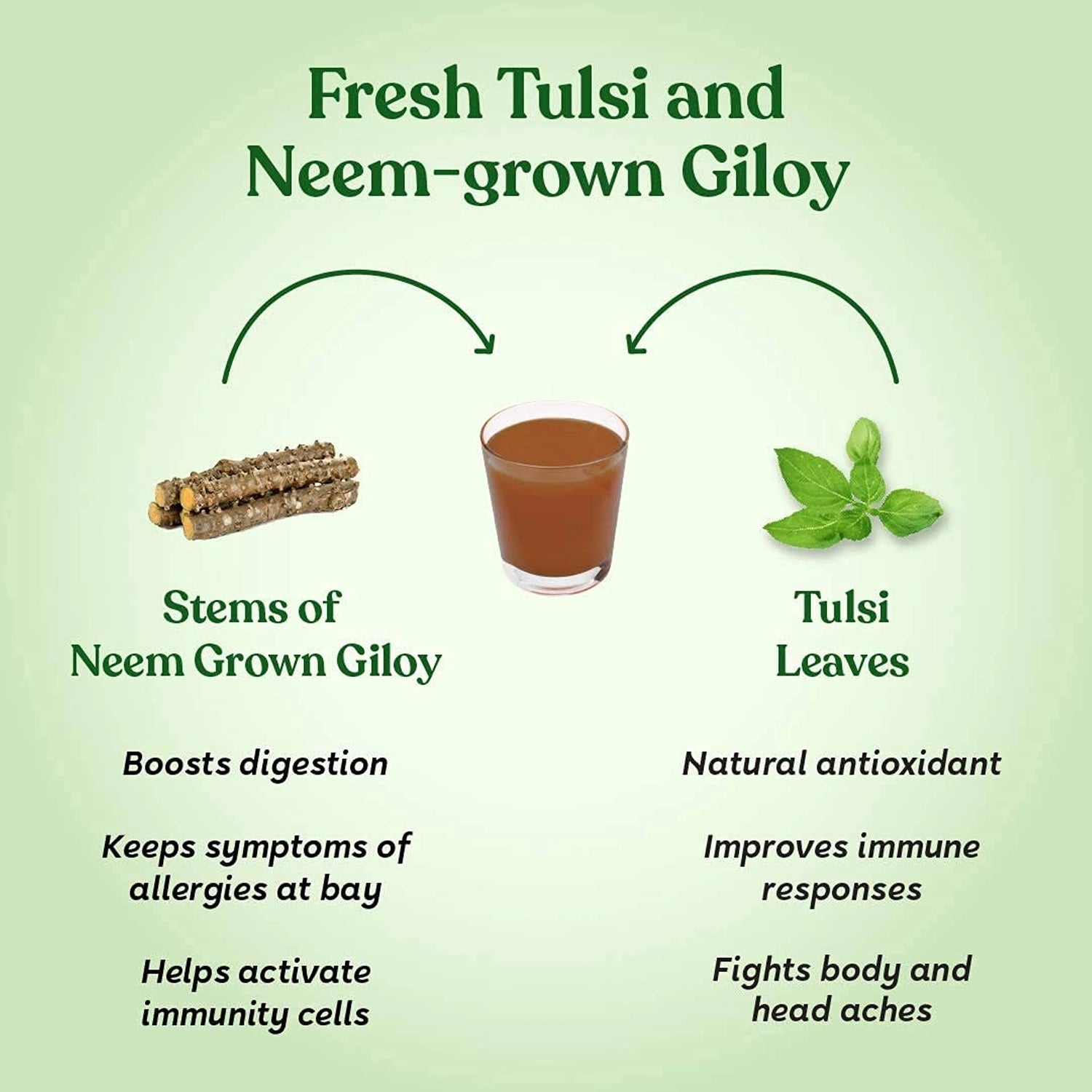 Kapiva_Wild_Tulsi_Giloy_Juice_Ingredients_Instasport