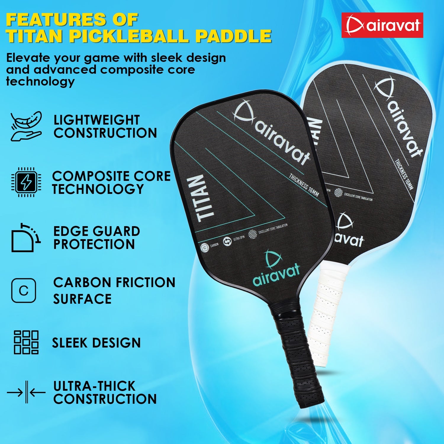 AIRAVAT TITAN PICKLEBALL PADDLE (SET) - InstaSport