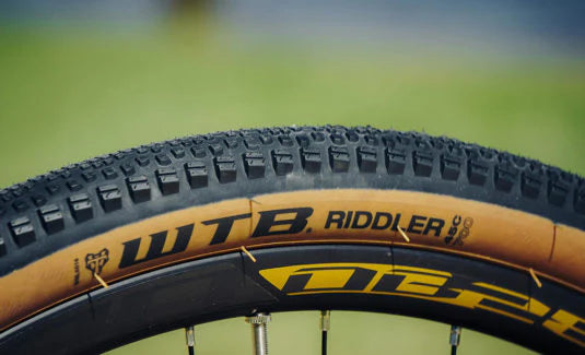 Polygon_Heist7_Black_Gold_Tire_InstaSport