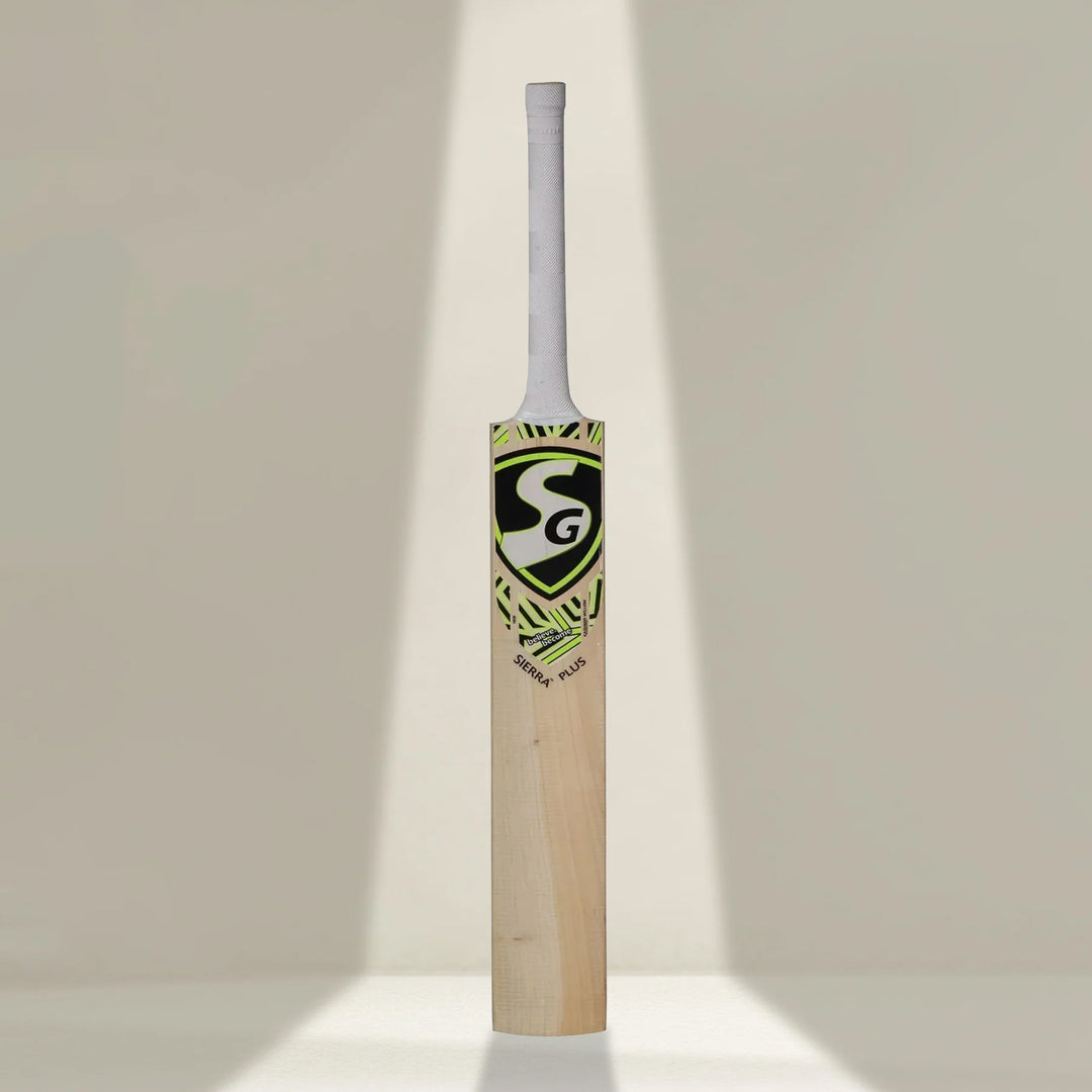 SG Sierra Plus Kashmir Willow Cricket Bat