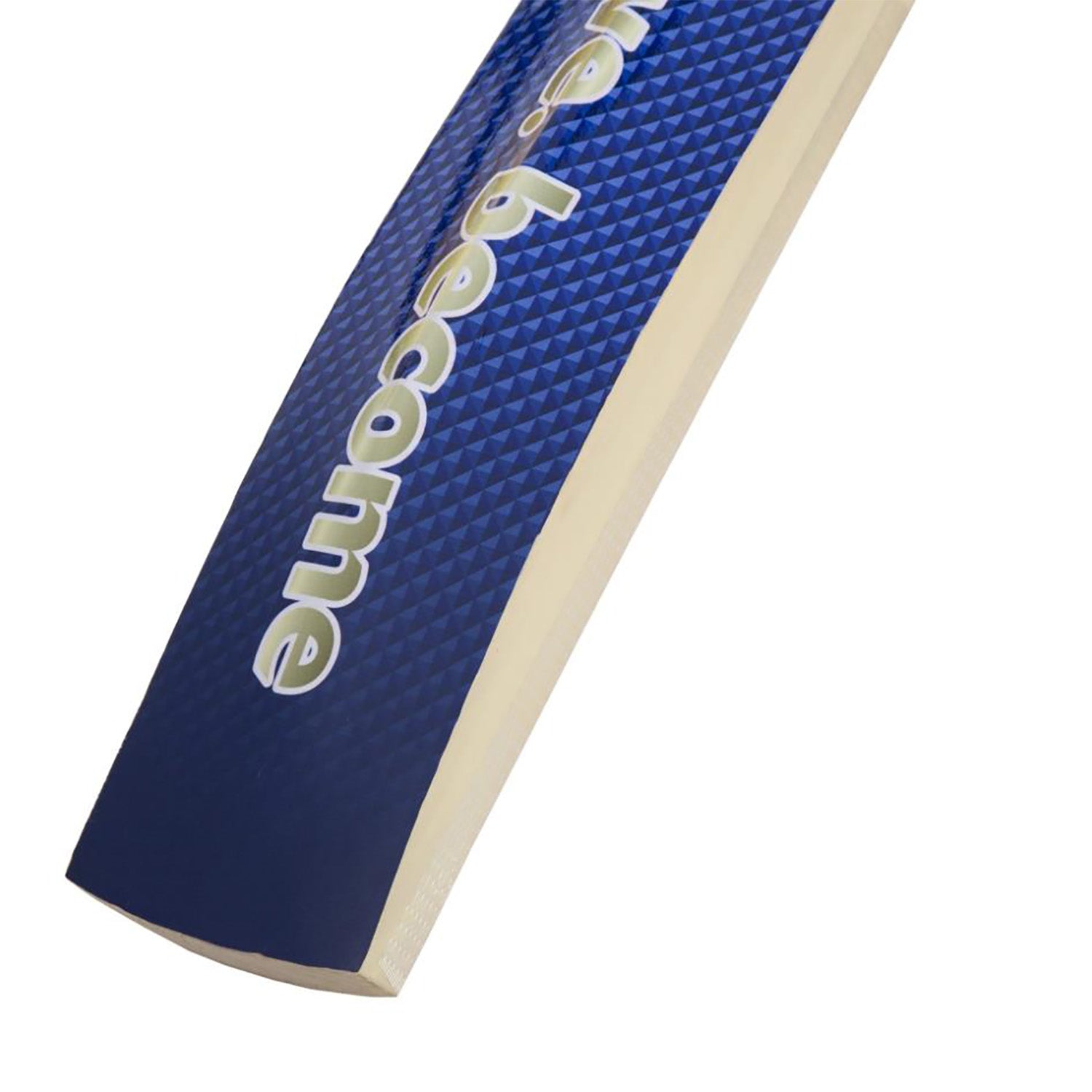 SG Thunder Plus Kashmir Willow Cricket Bat -SH - InstaSport