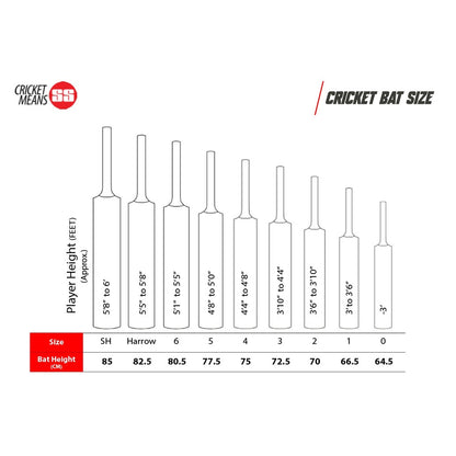 SS_Master100_KW_CricketBat_Spec_Instasport