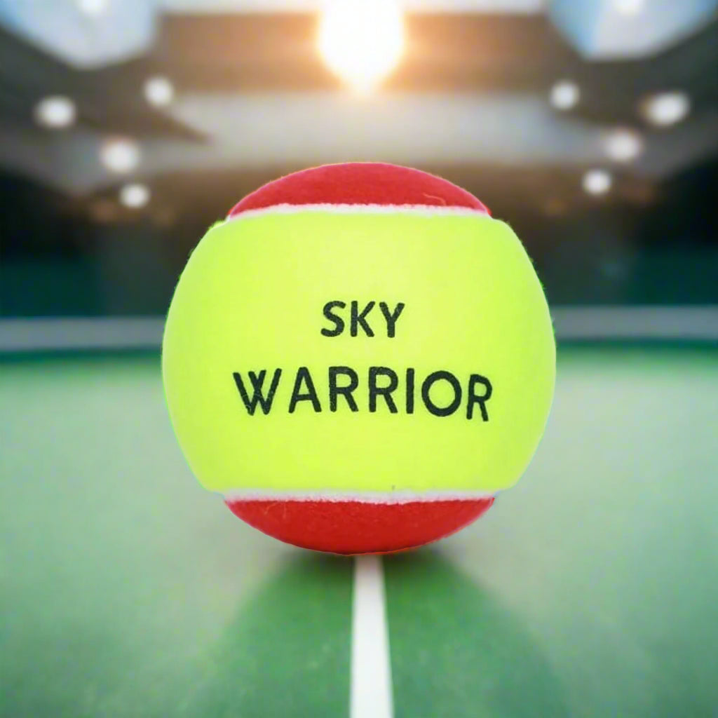 Skywarrior_Red_ball_1Doz_Front_Instasport