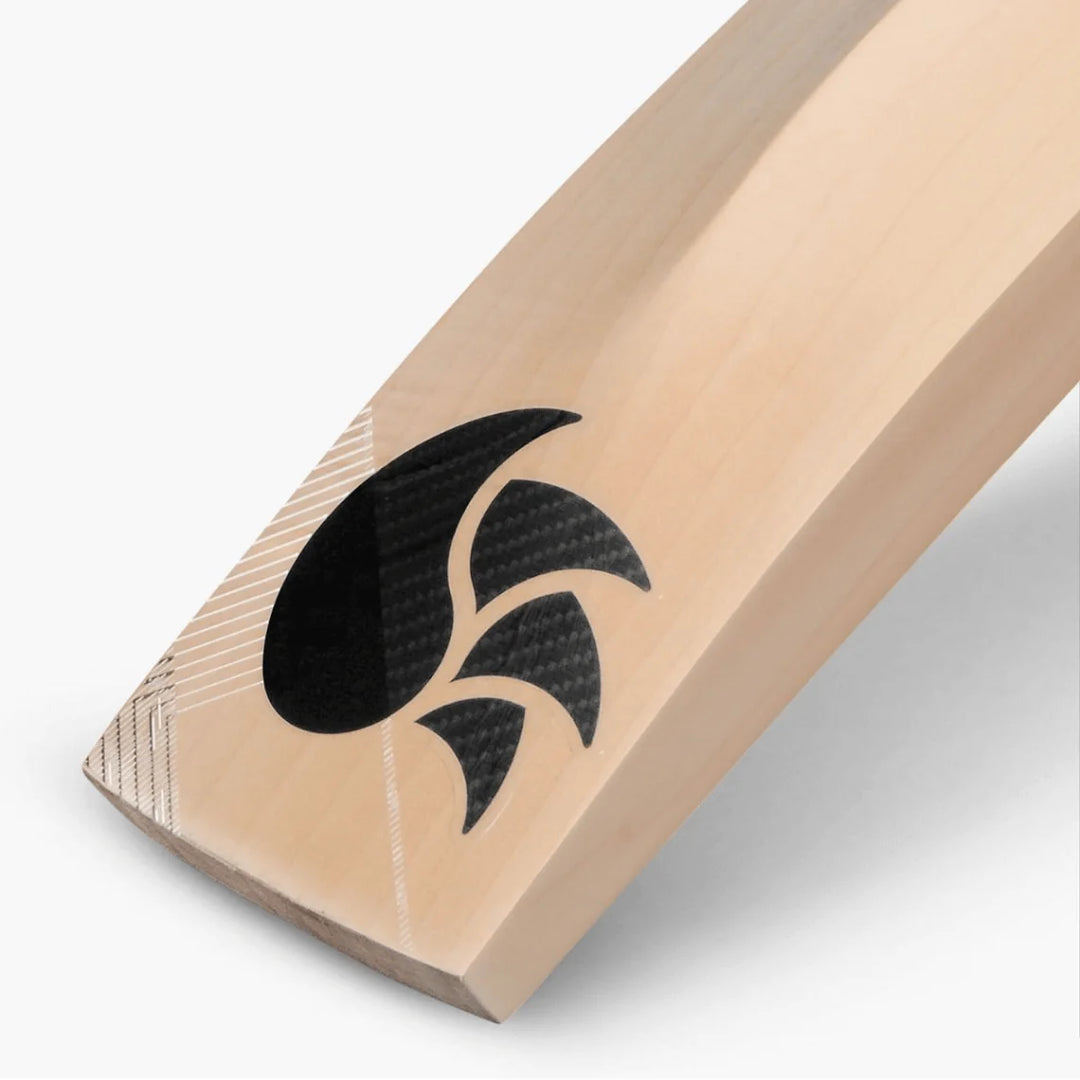 DSC Xlite 1.0 English Willow Cricket Bat -SH - InstaSport