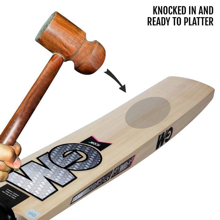 Match Cricket Bat - SH - InstaSport