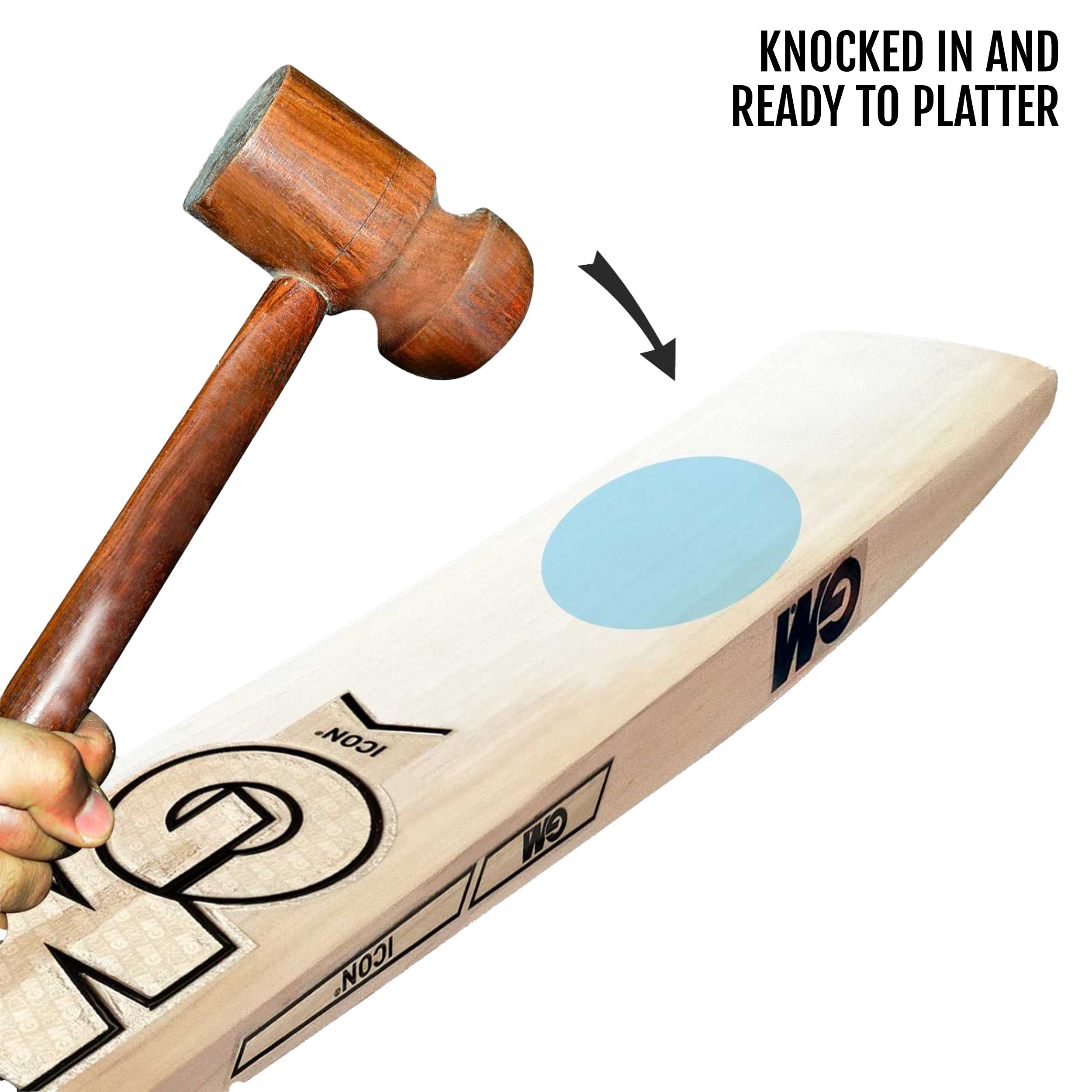 GM Icon Pro Edition English Willow Cricket Bat (Made in U.K.) -SH - InstaSport